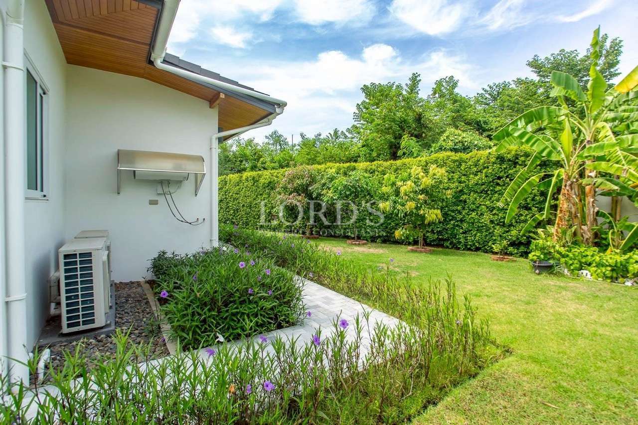 Side garden of modern villa with lawn, hedge fencing, and banana trees.