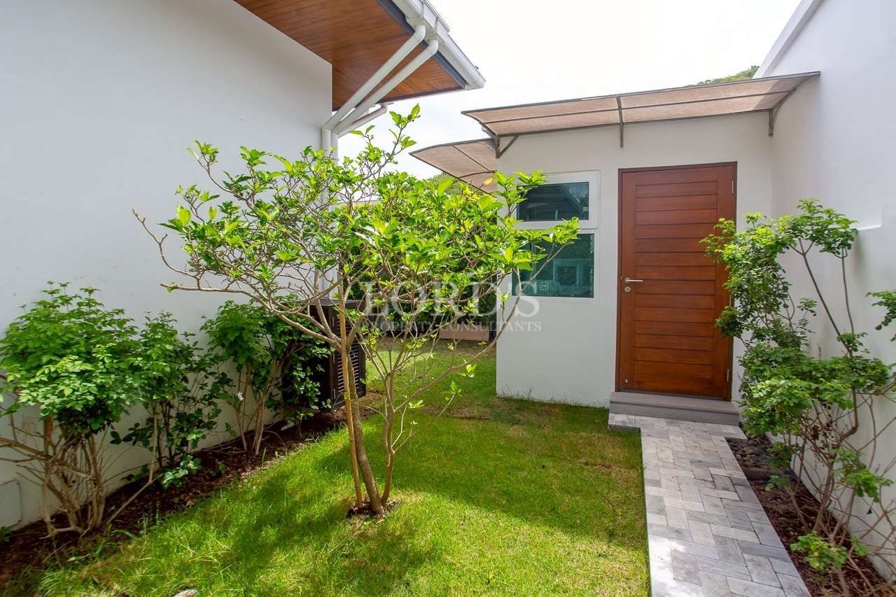 Small landscaped garden courtyard with wooden door and white exterior walls.