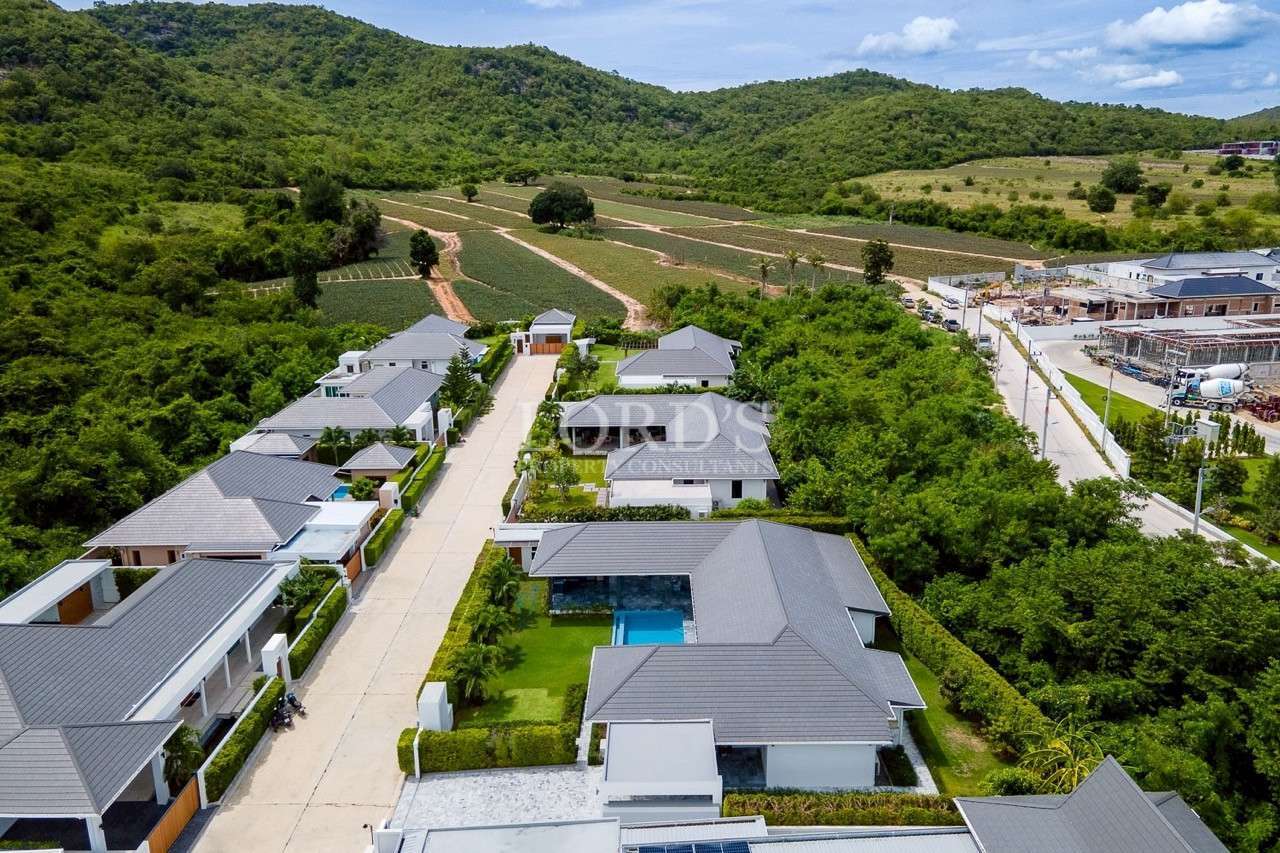 Modern houses in lush green landscape
