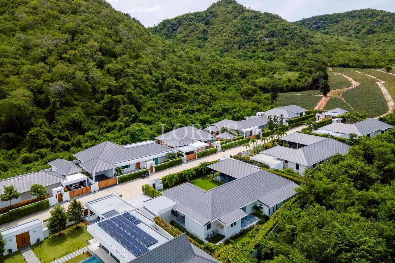 Modern houses in lush green landscape