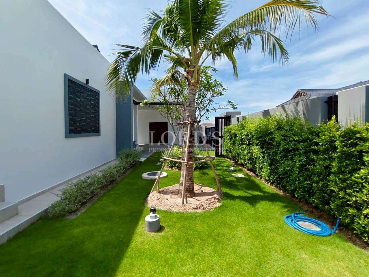 Landscaped garden with palm tree, green lawn, and hedge beside a modern house.