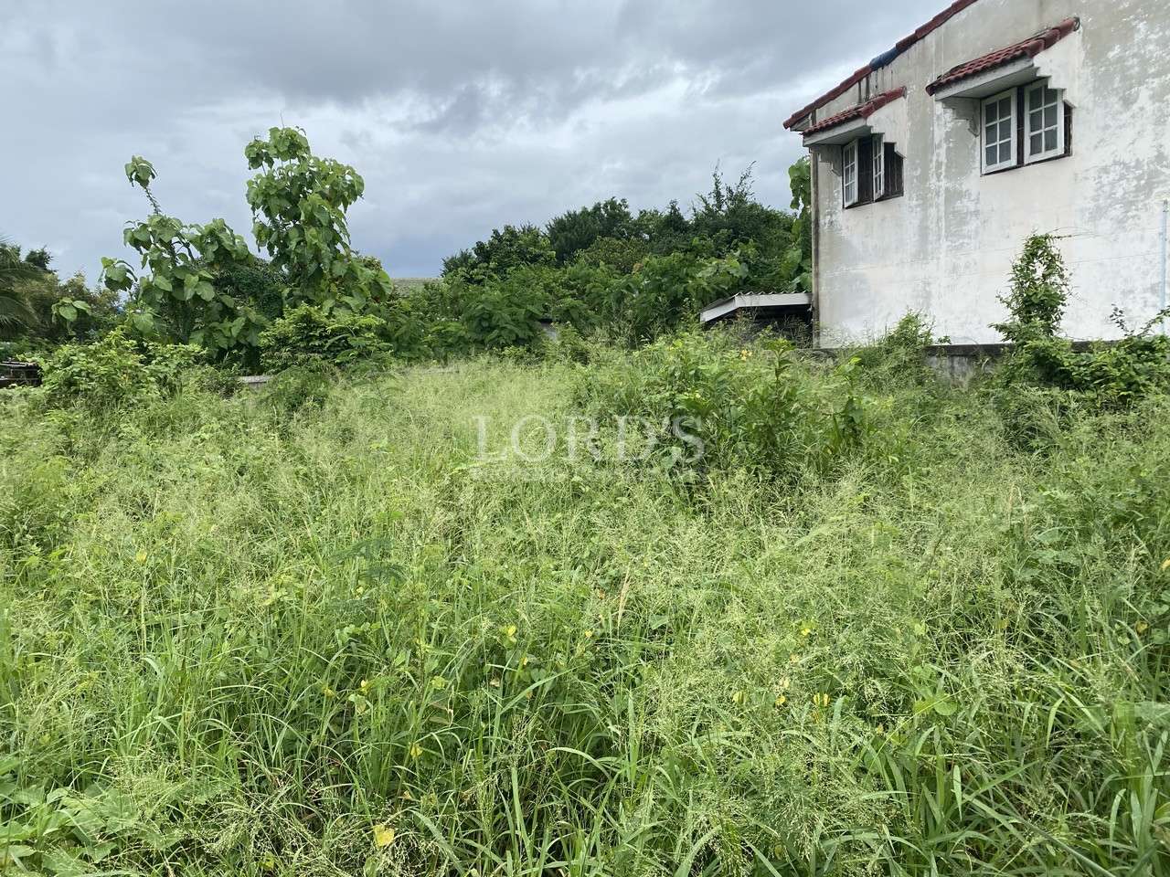 Overgrown vacant land beside a weathered two-story house under a cloudy sky.