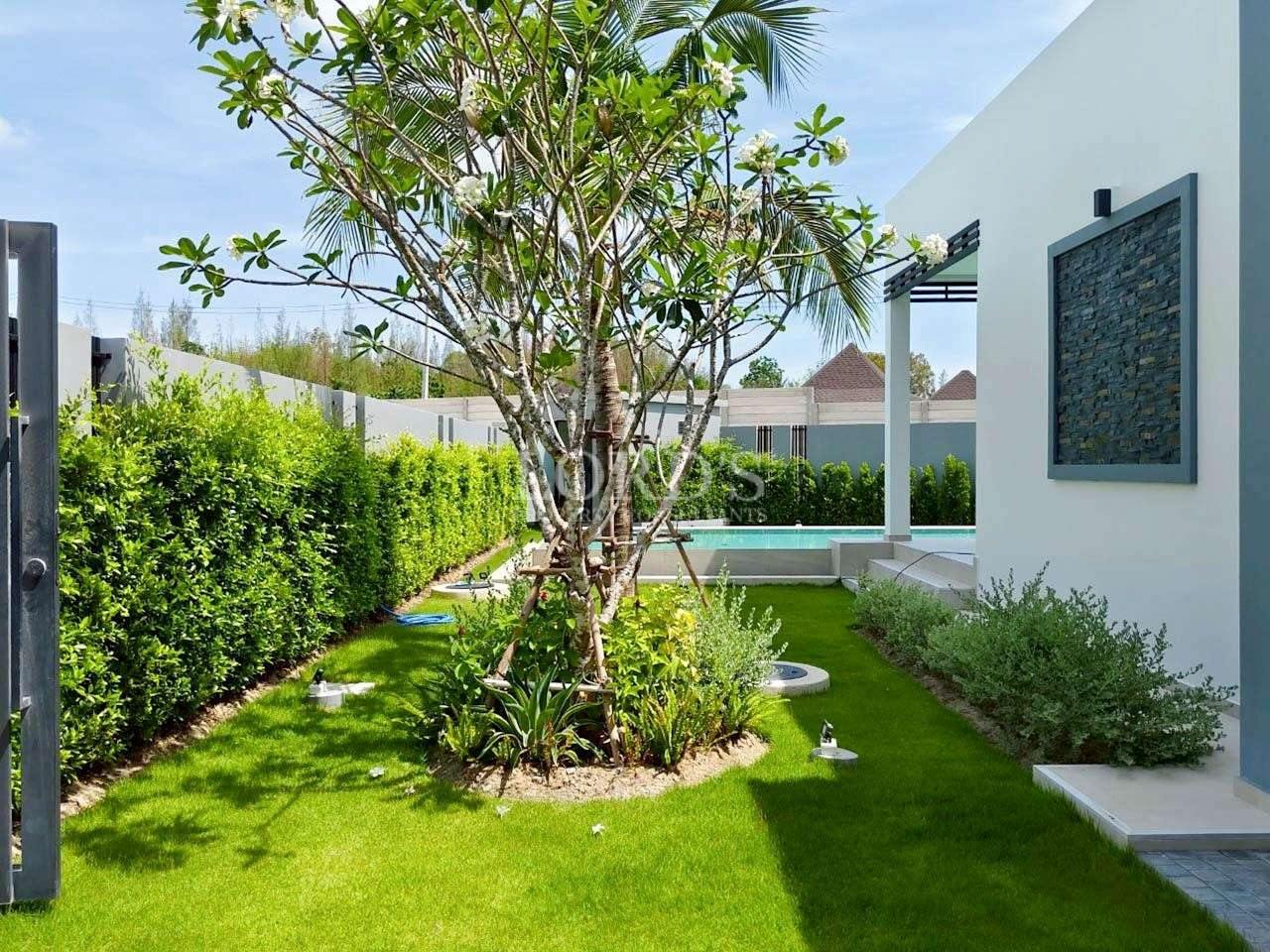 Green garden beside modern villa