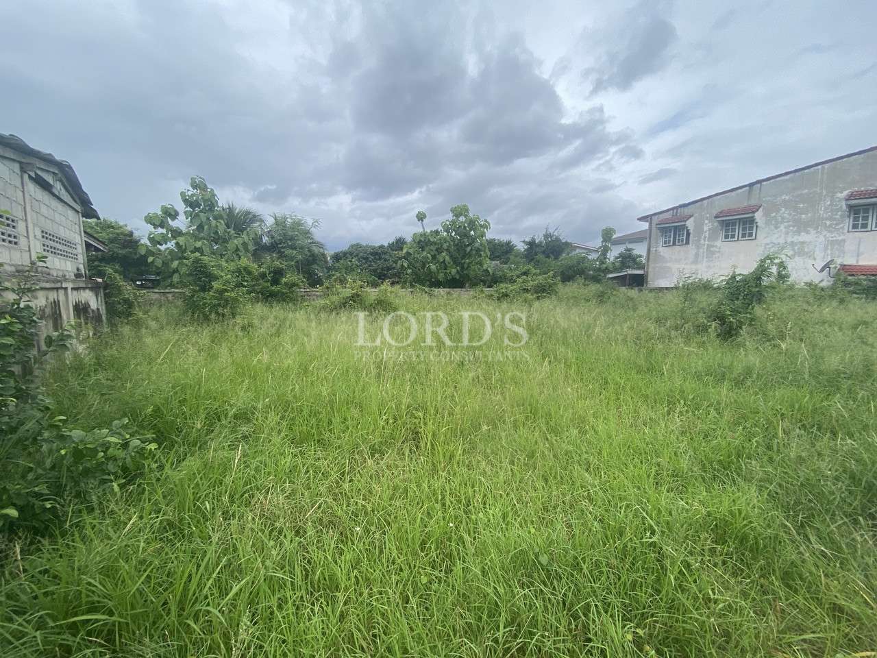 Wide view of overgrown vacant land bordered by neighboring houses under a cloudy sky.
