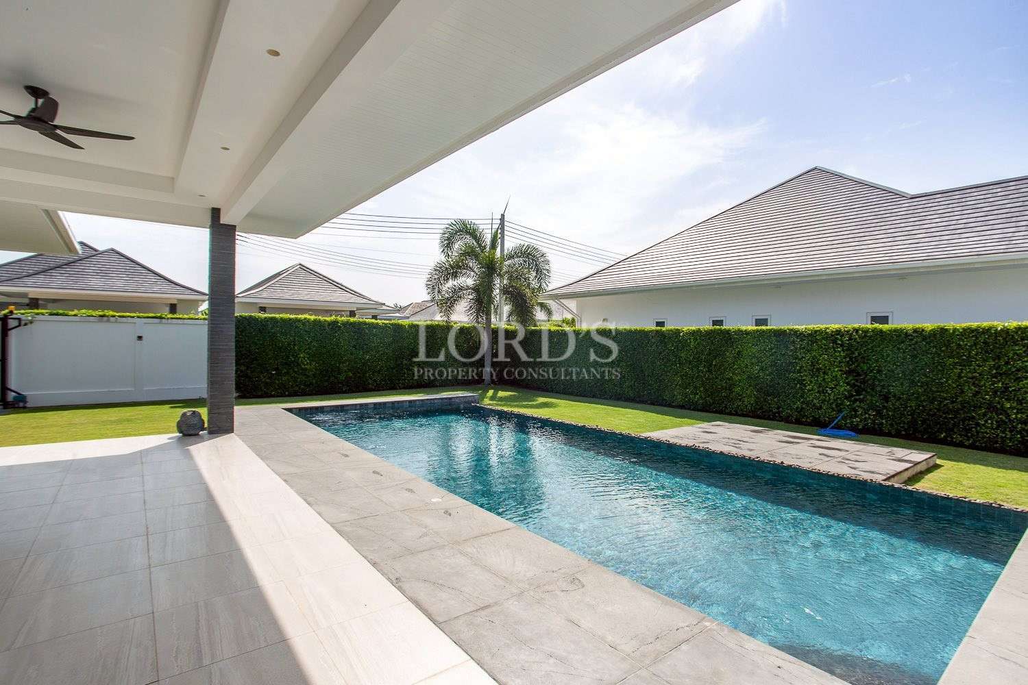 Poolside with clean lines and greenery