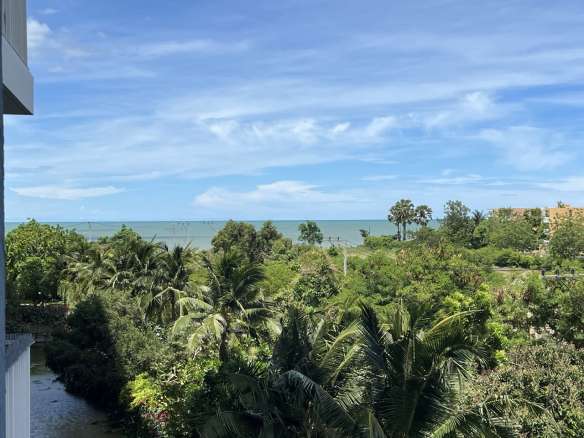 Aerial view of tropical trees