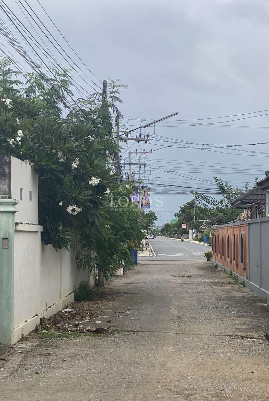 Narrow residential alley lined with walls, flowering plants, and overhead power lines.