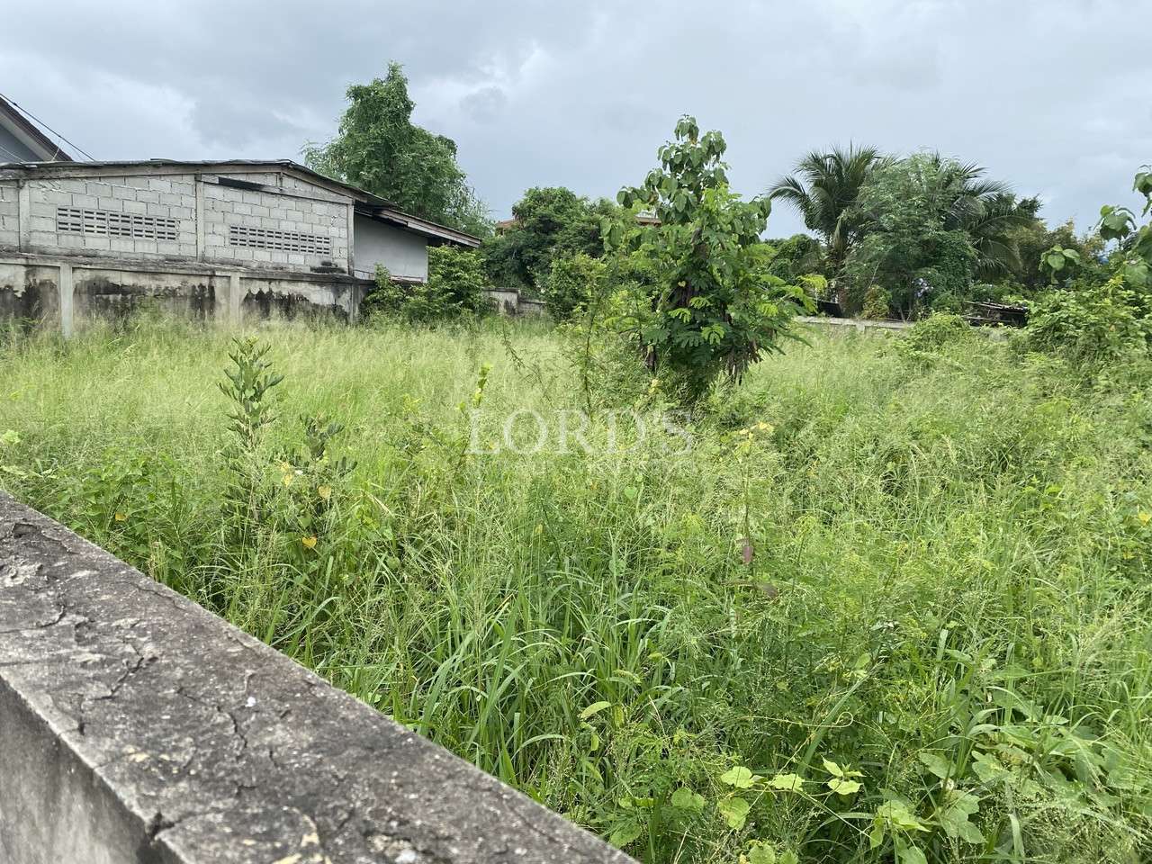 Vacant grassy land with overgrown vegetation and neighboring buildings in the background.