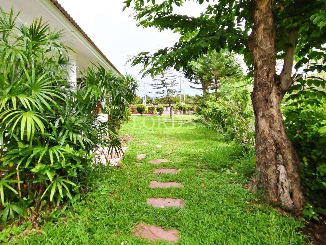 Garden pathway with stepping stones and tropical landscaping