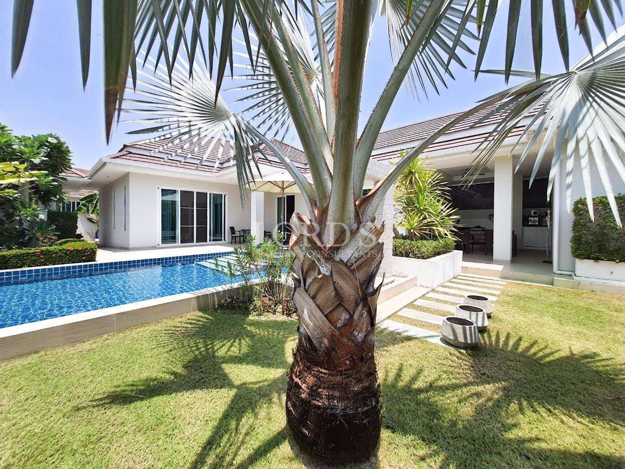 Palm tree in garden with villa view