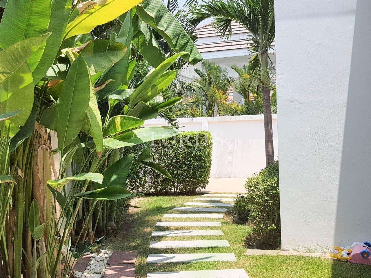 Garden pathway with tropical plants and steps