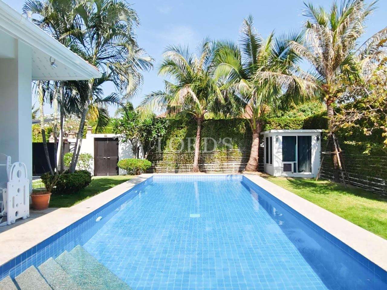 Private swimming pool with tropical palm trees