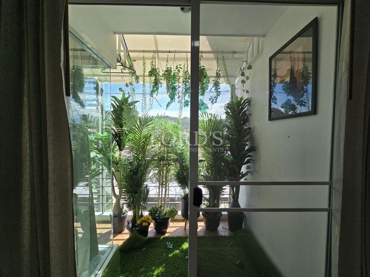 Private balcony garden with hanging plants and potted greenery.