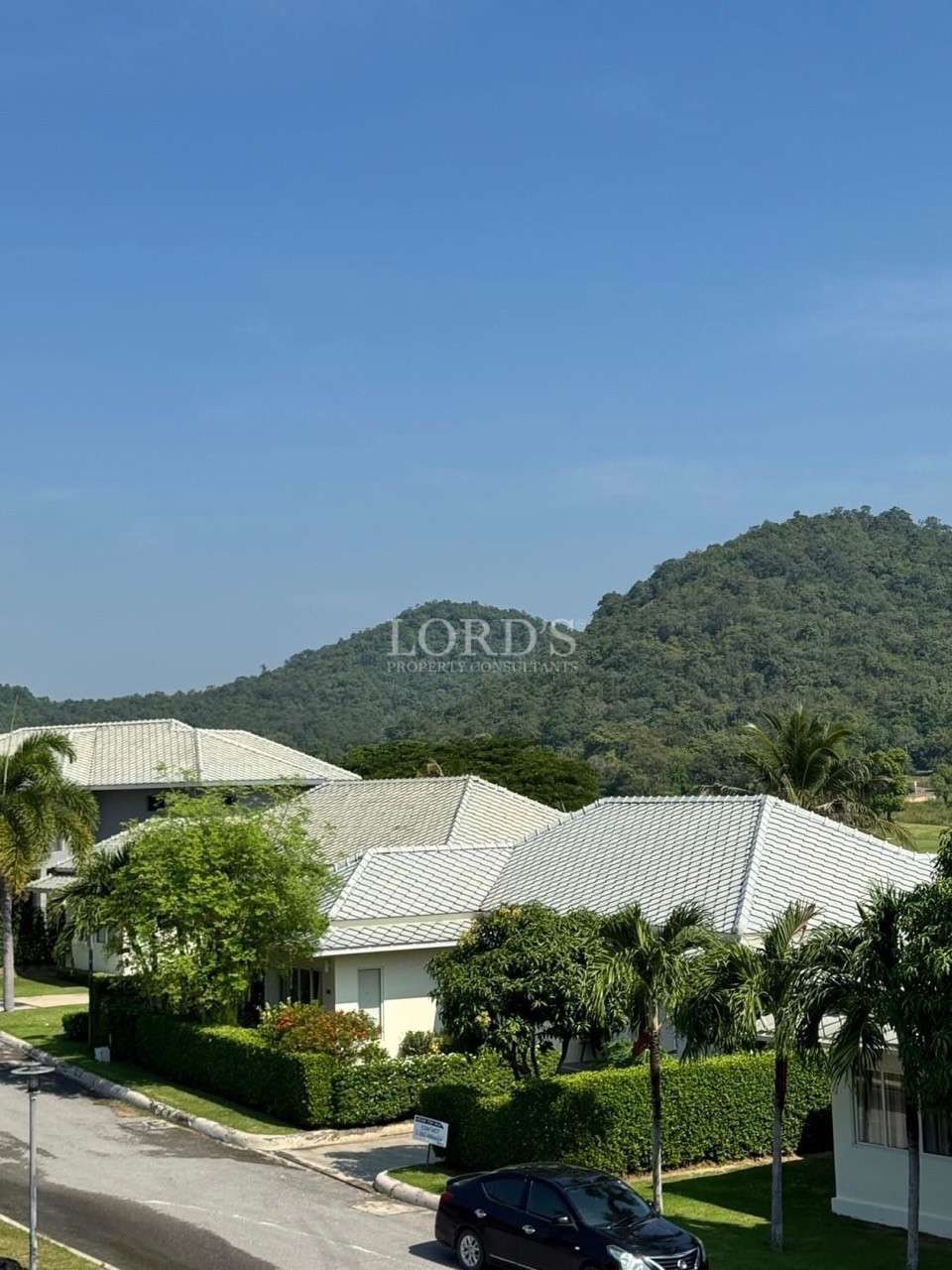 Single-story houses with light tiled roofs and palm trees, set against a green hillside and clear blue sky.