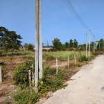 Road with utility poles and land area