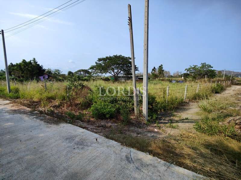 Roadside land plot with utility poles