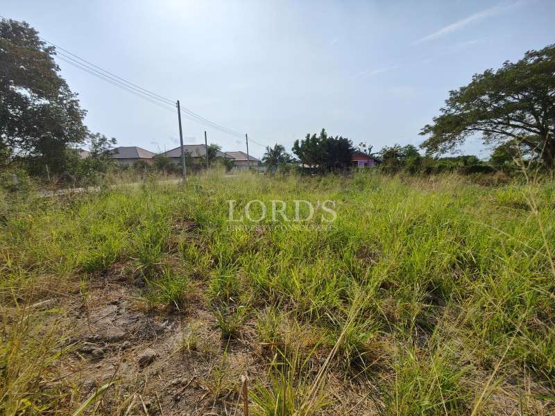 Land plot with greenery and natural growth