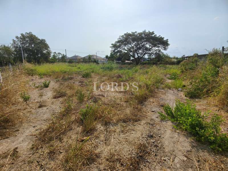 Land plot with dry grass and open space