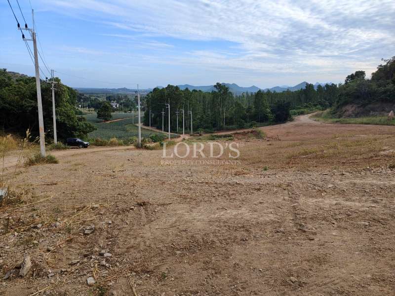 Land overlooking green valley