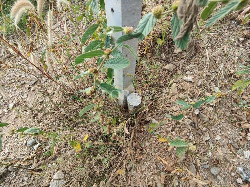 Water utility pipe installed in land