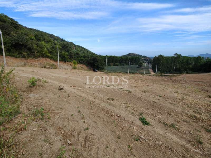 Open land ready for development