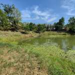 Land plot beside natural pond