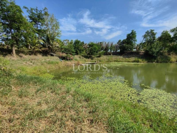 Land plot beside natural pond