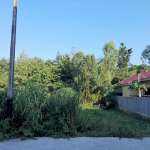 Green land plot beside residential area