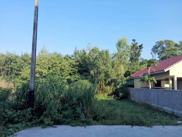 Green land plot beside residential area