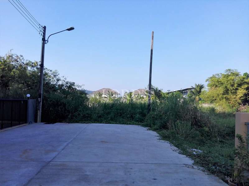 Residential street with parked cars