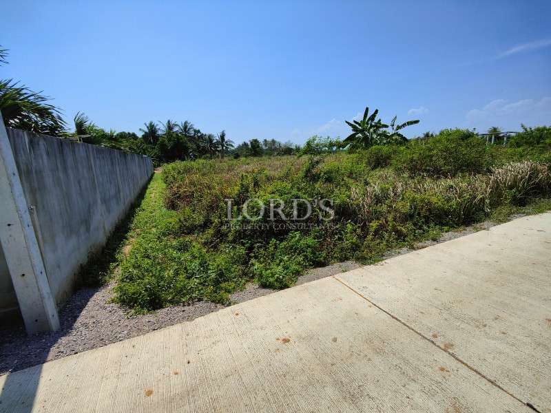 Roadside land plot with greenery