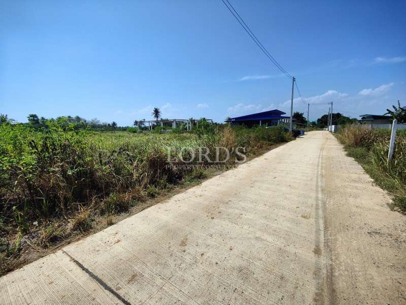 Concrete road with land on both sides