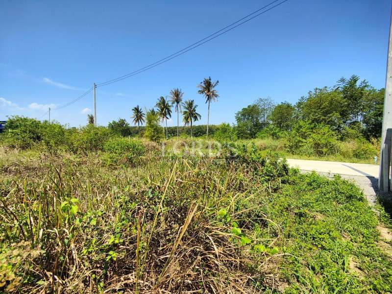 Land plot with surrounding vegetation