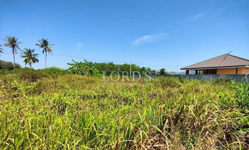 Green field with distant houses