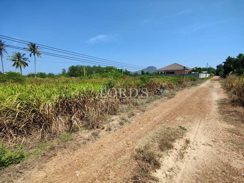 Dirt road leading to farmland