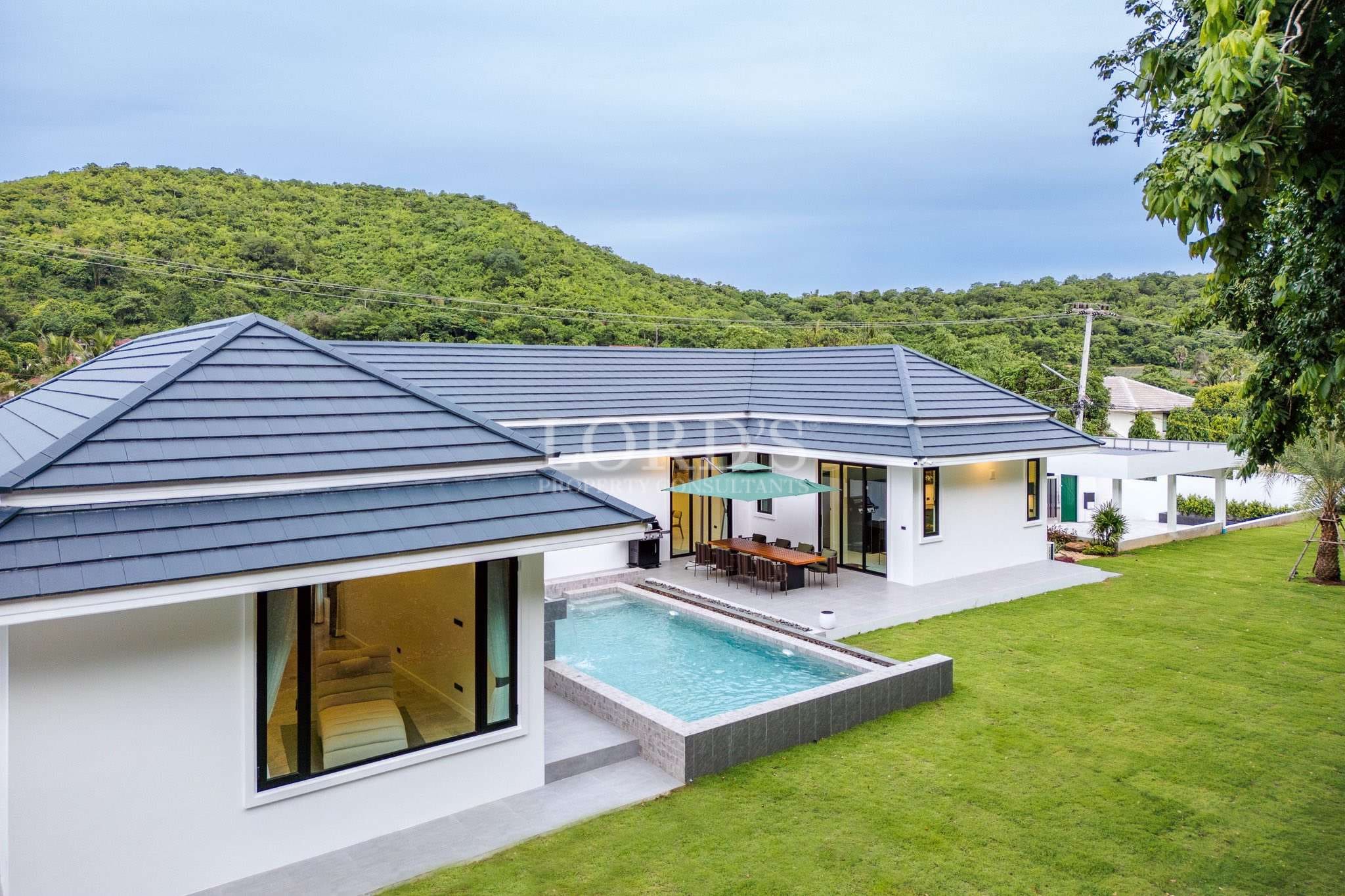 Modern house with pool and greenery