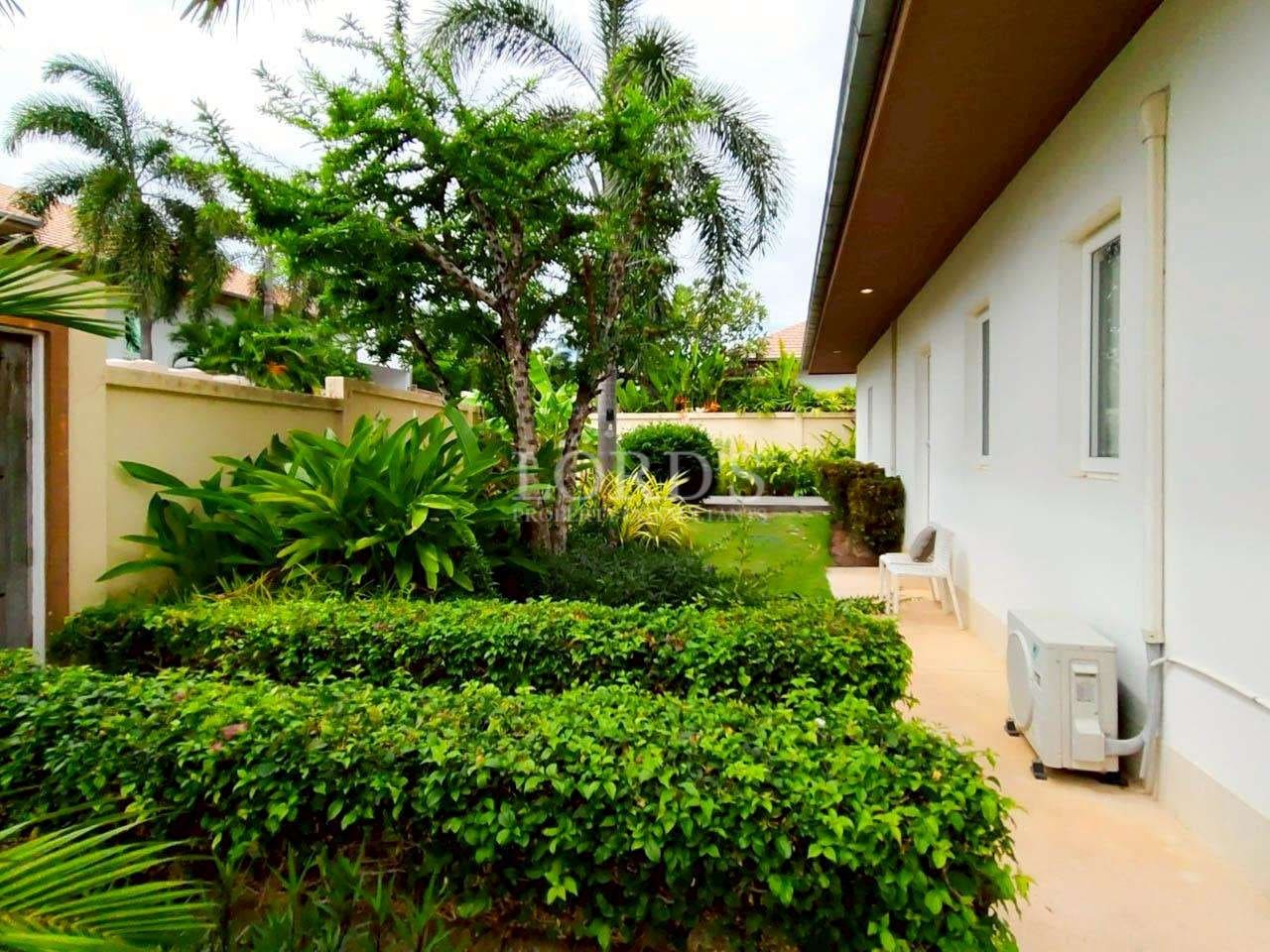 Lush garden with tropical plants.