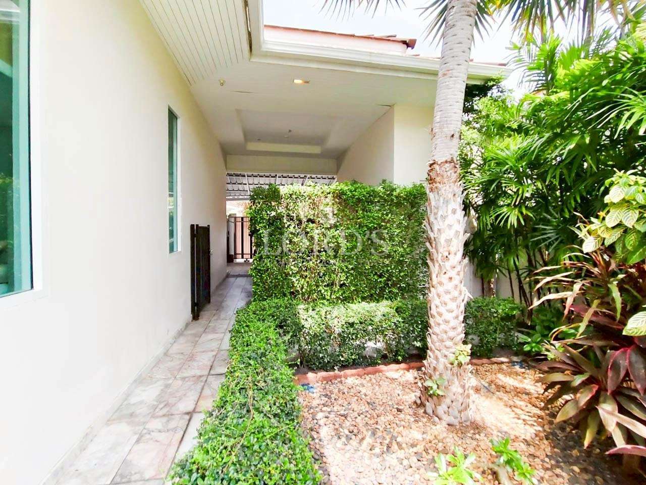 Side walkway of a modern home with tiled path, trimmed hedges, and tropical plants