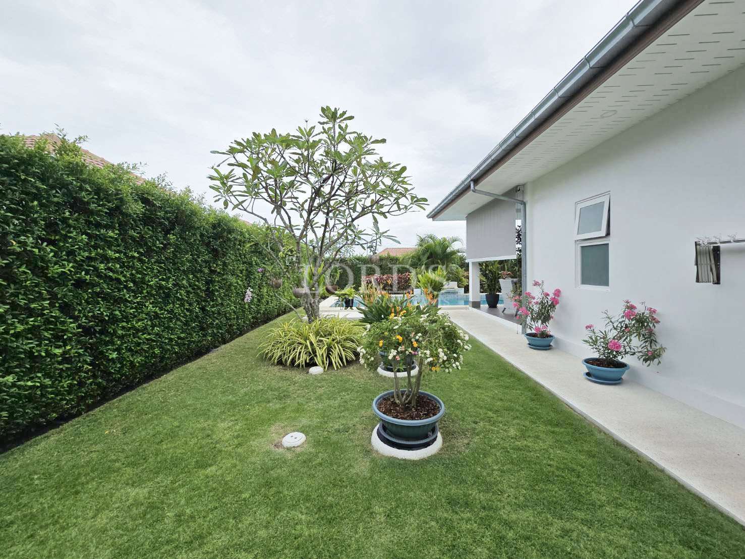 Private garden with manicured lawn, potted plants, and tropical greenery beside a modern villa.