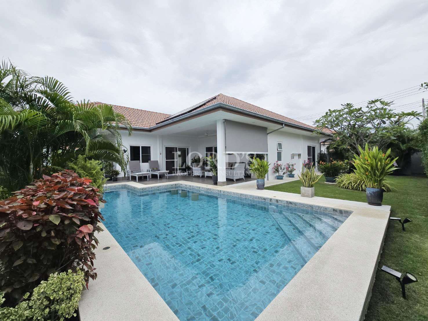 Modern house with swimming pool