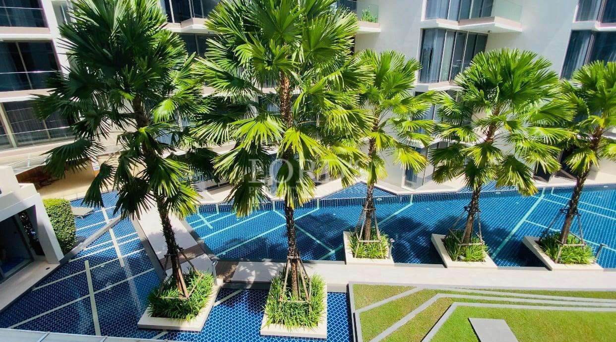 Landscaped courtyard with palm trees, blue tiled water feature, and modern apartment buildings.