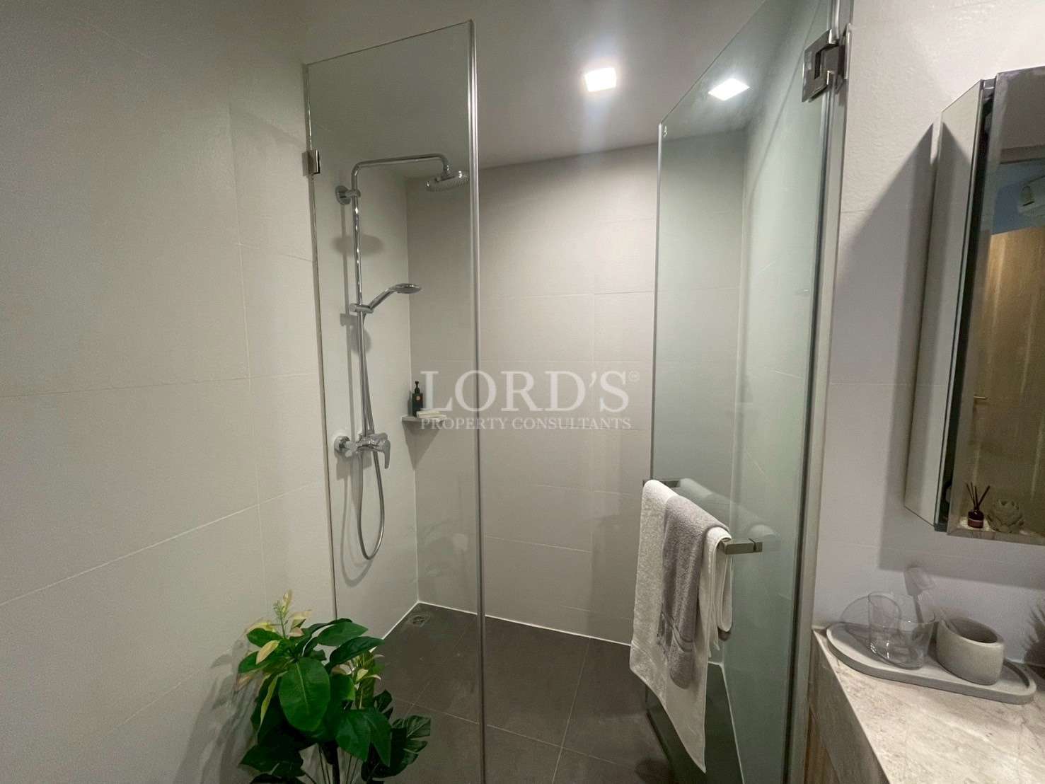 Modern glass-enclosed shower with rainfall showerhead, towel rack, and indoor plant.