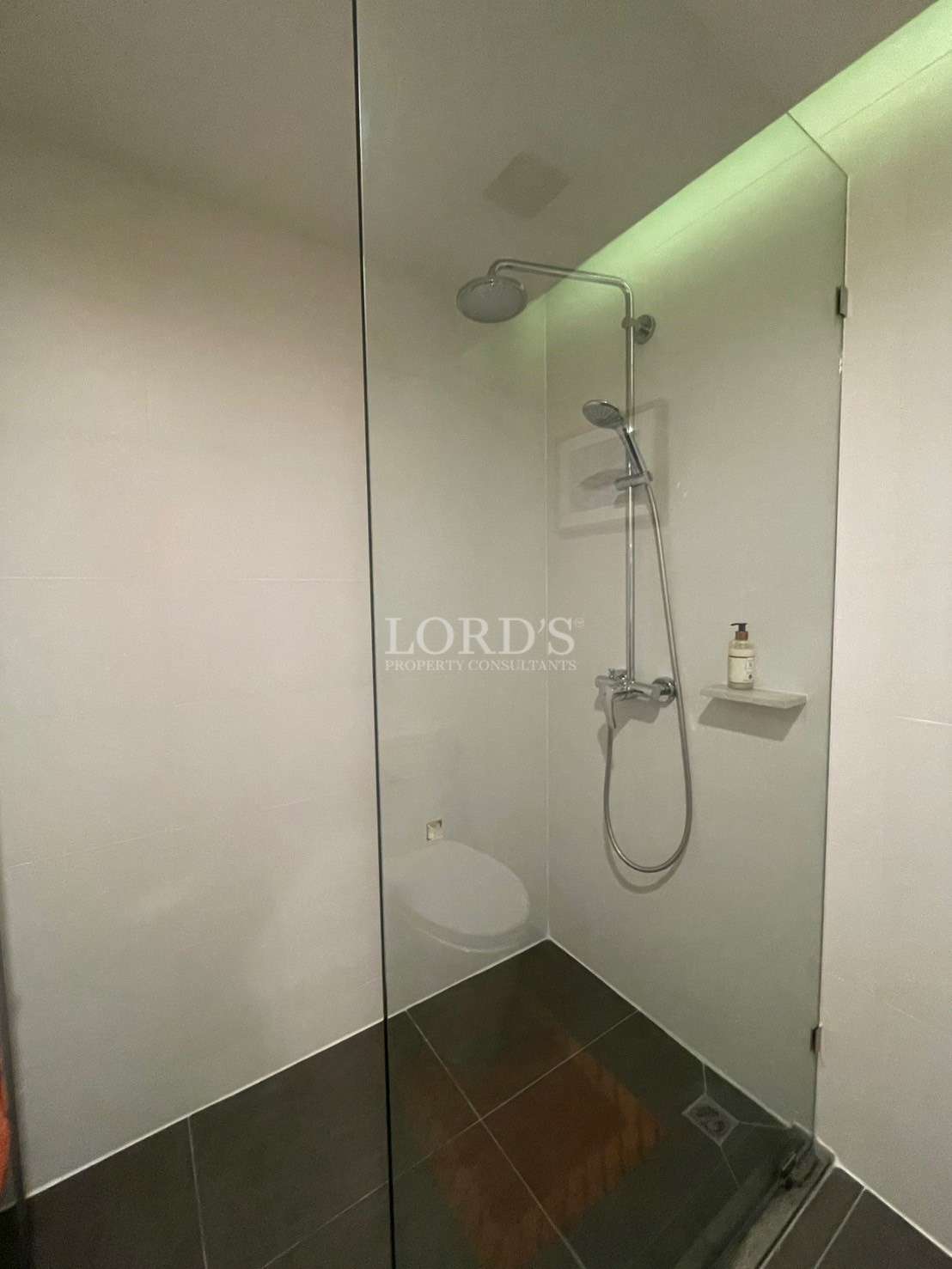 Modern shower with glass enclosure