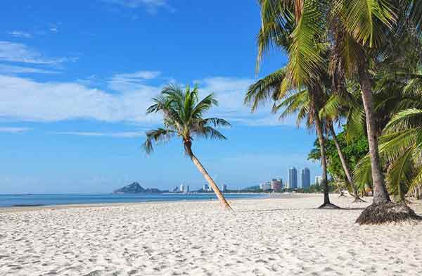 Tropical beach with palm trees, white sand, and a clear blue sky