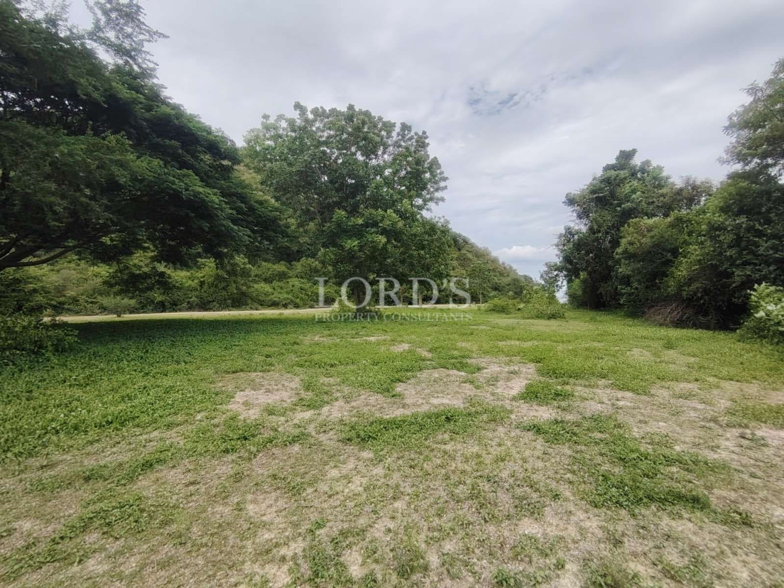 Open grassy land surrounded by mature trees and dense greenery under a cloudy sky.