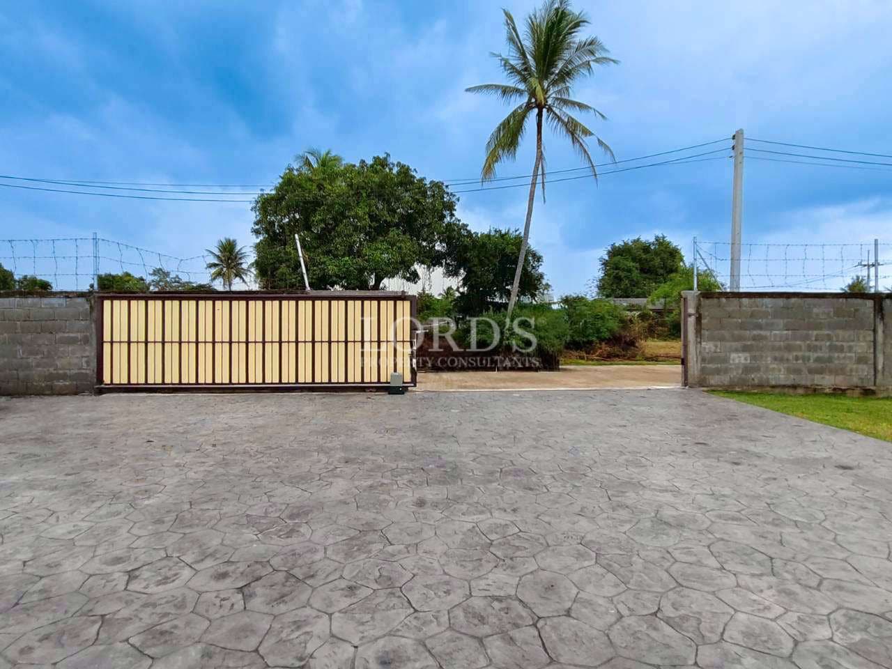 Open gate with palm trees nearby