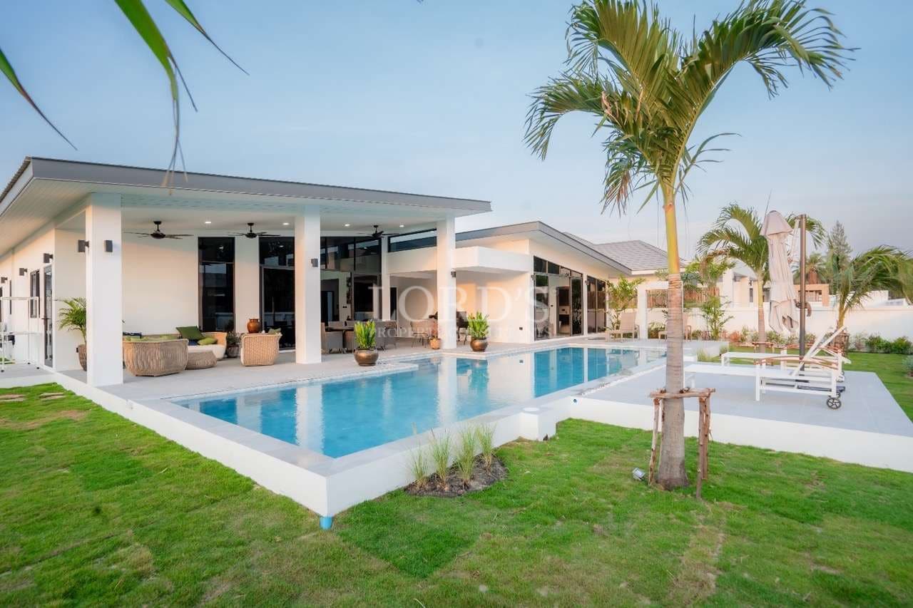 Modern house with pool and palm