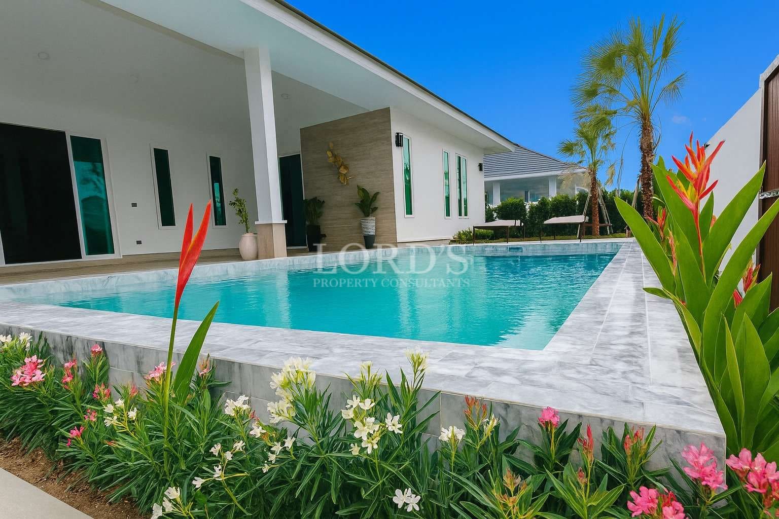 Modern house with pool and flowers