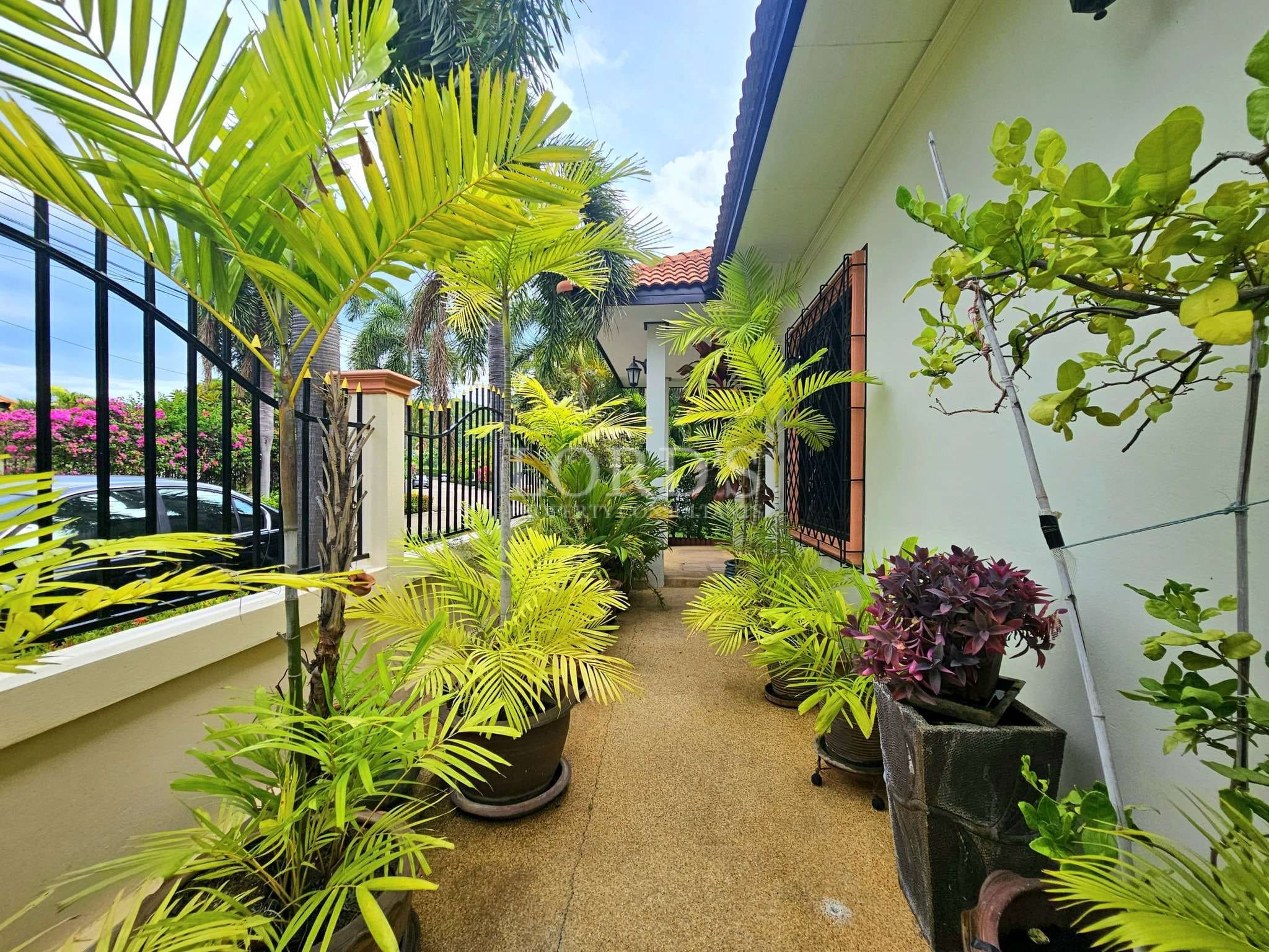 Lush green plants lining pathway