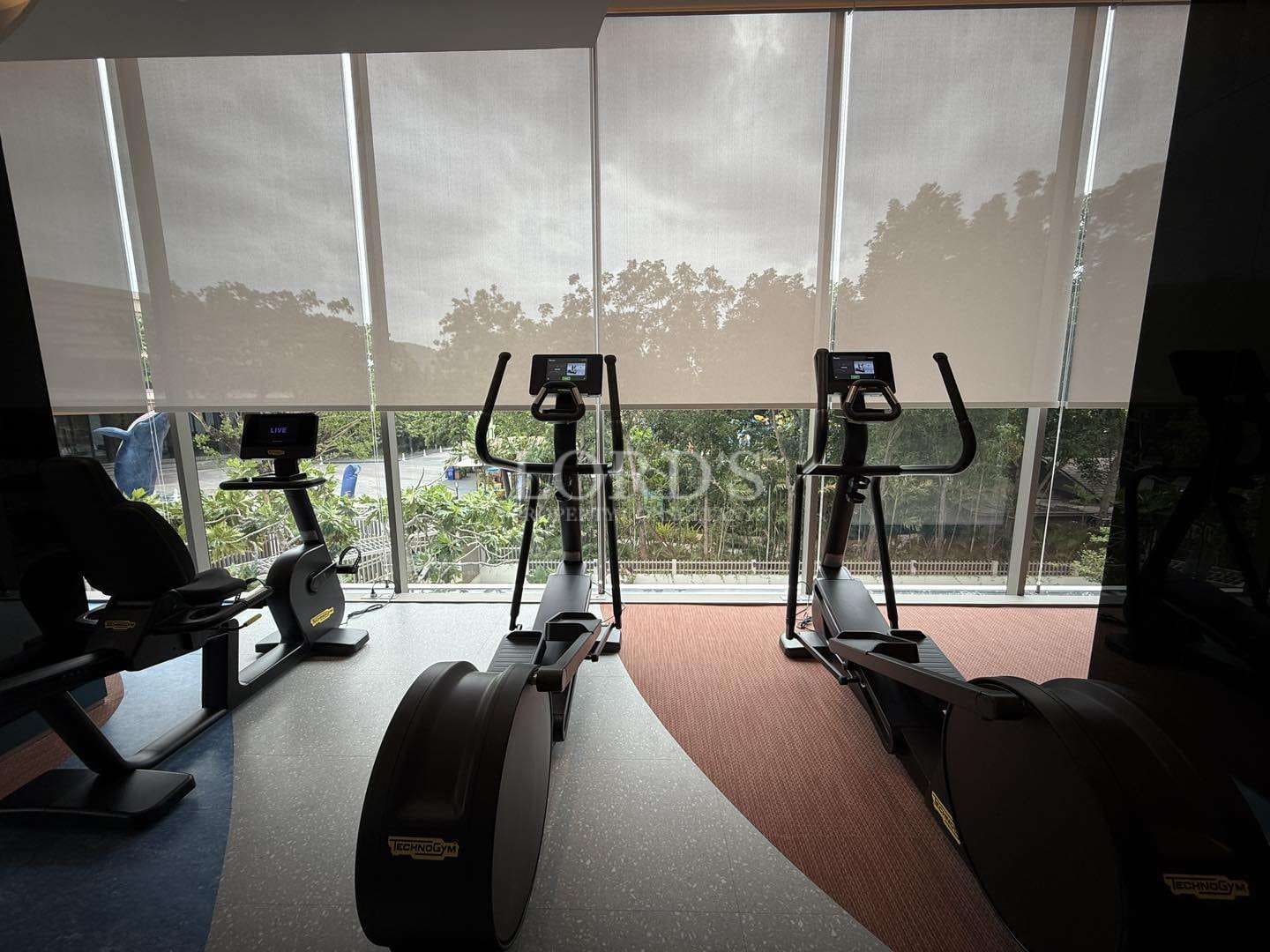 Modern indoor gym with cardio machines and large windows overlooking greenery.
